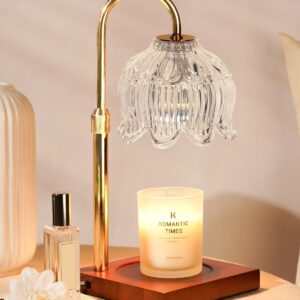 Funistree Crystals Dimmable Flower Candle Warmer Lamp with Timer