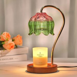 Funistree Pink Green Glass Candle Warmer Lamp with Timer