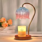 Funistree Blue Pink Dimmable Candle Warmer Lamp with Timer