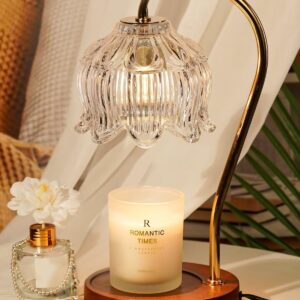 White Clear Candle Warmer Lamp with Timer Dimmer, Flower Candle lamp Warmer, 2 Bulbs, Wax Melter Warmer for Jar Scented Candles, Christmas Birthday Gifts Ideas for Women Mom
