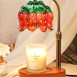 Strawberry Candle Warmer Lamp with Timer & Dimmable Brightness, House Warming Gift New Home, Candle Warming Gifts for Christmas, Birthday Gifts for Women Mom, Flameless Wax Melt Warmer for Jar Candles