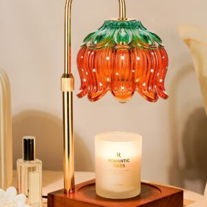 Strawberry Candle Warmer Lamp with Timer Dimmer, Adjustable Height Gifts for Women Mom Birthday Christmas House Warming Gifts New Home Bedroom Decor, Cute Candle Warmer Light for Jar Candles