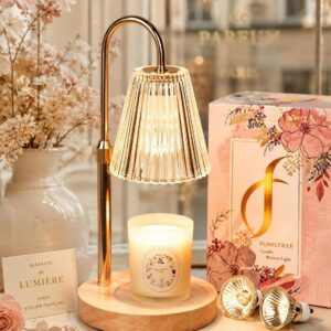 Funistree Candle Warmer Lamp with Timer & Dimmer, Height Adjustable Candle Warmer with 2 Bulbs, Birthday Gifts for Women Mum, New Home Gifts, Dimmable Candle Heater Lamp for Yankee Candles